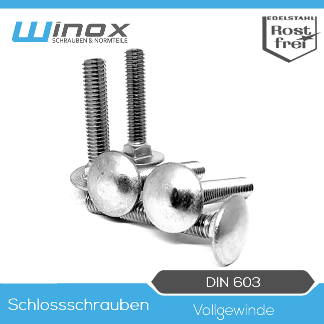 Flachrundschrauben DIN 603 M5 M6 M8 M10 M12 Edelstahl V2A A2 Schloßschrauben 