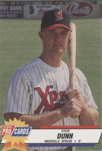 1993 Fleer ProCards Minor League - Steve Dunn #407