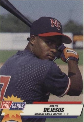 1993 Fleer ProCards Minor League - Malvin Dejesus #3396