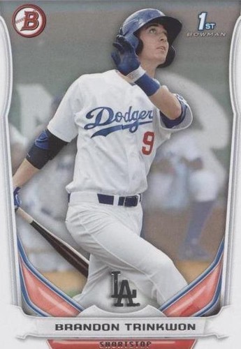 2014 Bowman - Brandon Trinkwon #BP31