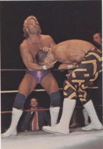 1988 Wonderama NWA - Sean Royal Stan Lane #31