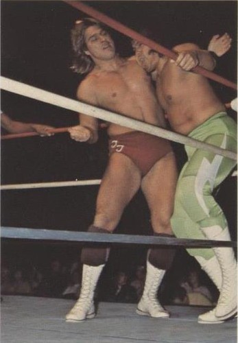 1988 Wonderama NWA - Terry Taylor #109