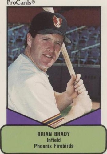 1990 ProCards AAA Future Stars - Brian Brady #42
