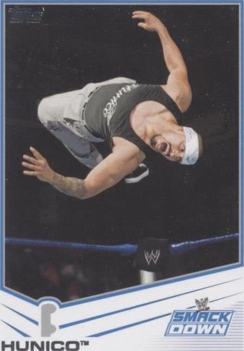 2013 Topps WWE - Hunico #59