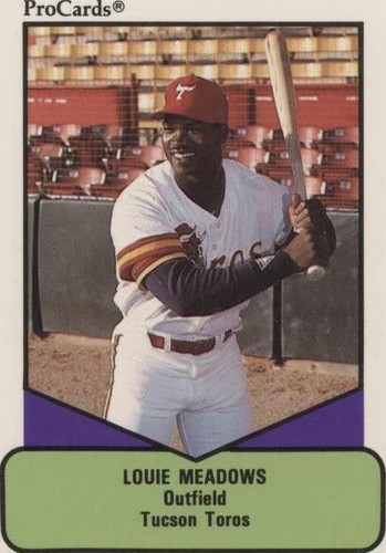 1990 ProCards AAA Future Stars - Louie Meadows #205