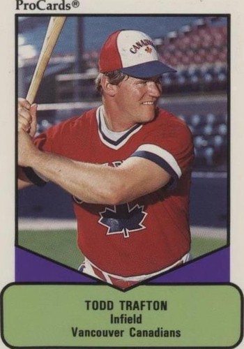 1990 ProCards AAA Future Stars - Todd Trafton #175