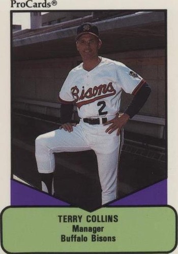 1990 ProCards AAA Future Stars - Terry Collins #504
