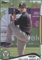 2014 Topps Pro Debut - Dillon Maples #211