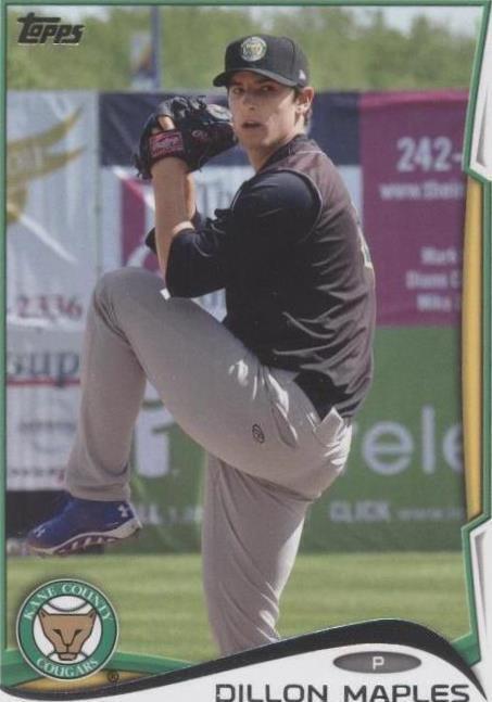2014 Topps Pro Debut - Dillon Maples #211