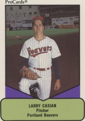 1990 ProCards AAA Future Stars - Larry Casian #240