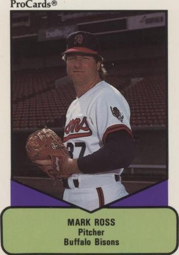 1990 ProCards AAA Future Stars - Mark Ross #487