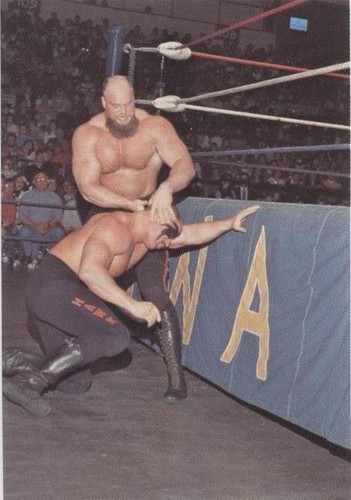 1988 Wonderama NWA - Road Warrior Hawk Warlord #333