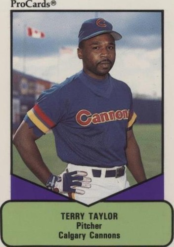 1990 ProCards AAA Future Stars - Terry Taylor #116
