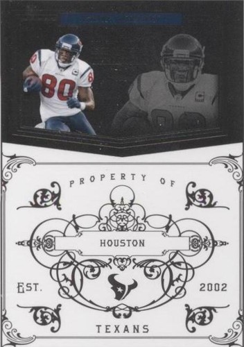 2010 Playoff National Treasures Andre Johnson #55