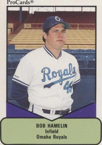 1990 ProCards AAA Future Stars - Bob Hamelin #606