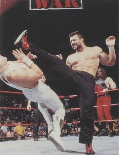 1998 Comic Images WWF Superstarz - Steve Blackman #31