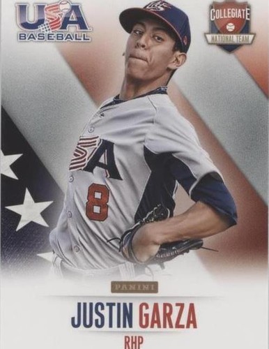 2014 Panini USA Baseball Box Set - Justin Garza #18