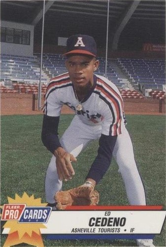 1993 Fleer ProCards Minor League - Ed Cedeno #2281