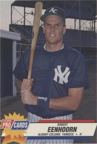 1993 Fleer ProCards Minor League - Robert Eenhoorn #2169