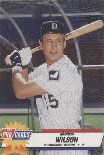 1993 Fleer ProCards Minor League - Brandon Wilson #1202