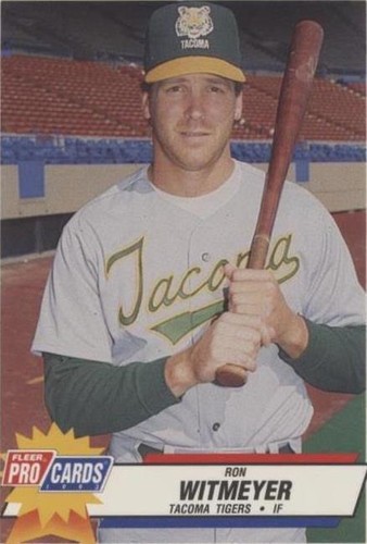 1993 Fleer ProCards Minor League - Ron Witmeyer #3041