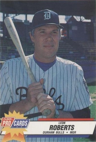 1993 Fleer ProCards Minor League - Leon Roberts #503