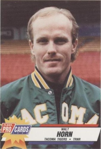 1993 Fleer ProCards AAA All-Star Game - Walt Horn #AAA-51