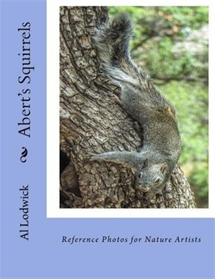 Abert's Squirrels : Reference Photos for Nature Artists, Paperback by Lodwick...