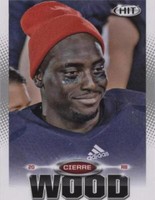 2013 SAGE Hit Cierre Wood #20