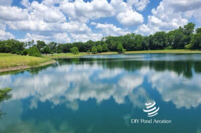 NEW FISH Koi Pond Vacuum II - Koi Pond Muck Buster 4.5 Gallon 2 HP 2yr Warranty