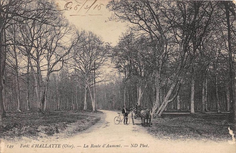 Cpa 60 Foret DÂ´Halatte La Route DÂ´Aumont