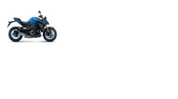 2025 Suzuki GSX-S1000