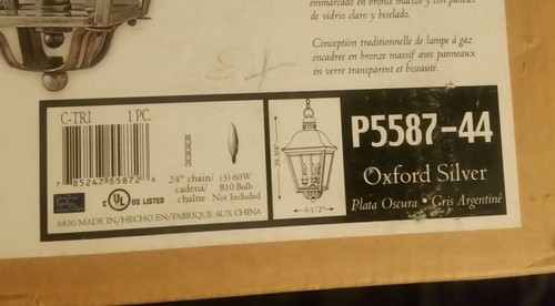 Progress Lighting Andover Collection Outdoor Hanging Light Silver New P5587-44