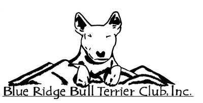 Blue Ridge Bull Terrier
