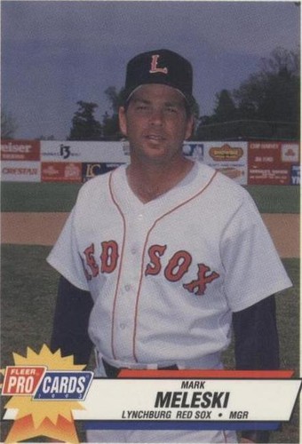 1993 Fleer ProCards Minor League - Mark Meleski #2533