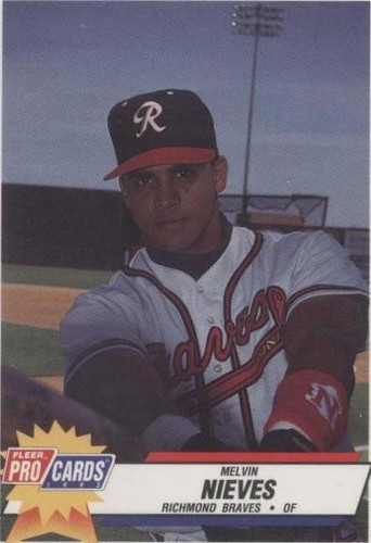 1993 Fleer ProCards Minor League - Melvin Nieves #199