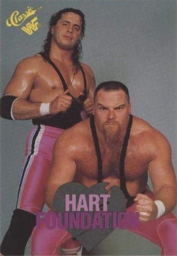 アメコミ HART FOUNDATION アメコミ HART FOUNDATION The Wrestler Wrestling Magazine