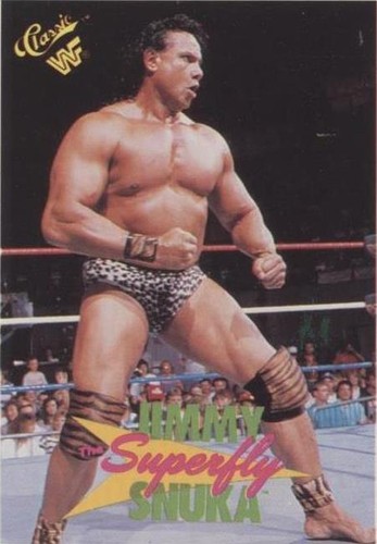 ECWプロレスカード サンドマン ECWプロレスカード サンドマン