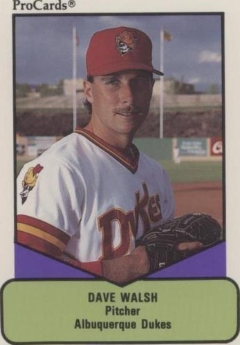 1990 ProCards AAA Future Stars - Dave Walsh #66