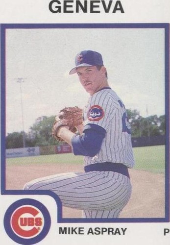 1987 ProCards Minor League - Mike Aspray #2622