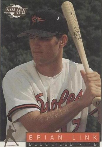 1993-94 Fleer Excel - Brian Link #11