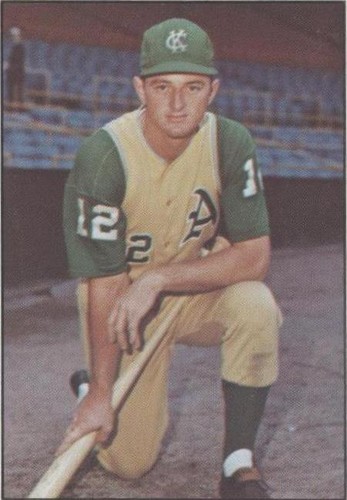 1978 TCMA The 1960's I - Ken Harrelson #1978-0247