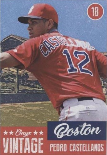 2019 Onyx Vintage - Pedro Castellanos #OVPC