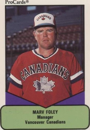 1990 ProCards AAA Future Stars - Marv Foley #183