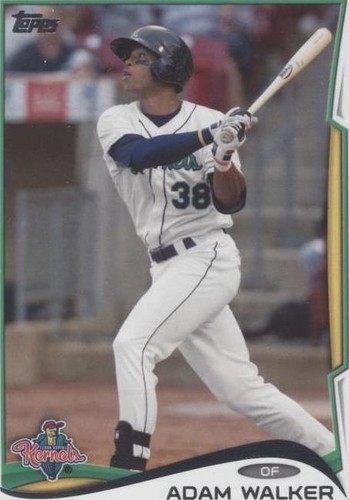 2014 Topps Pro Debut - Adam Walker #46
