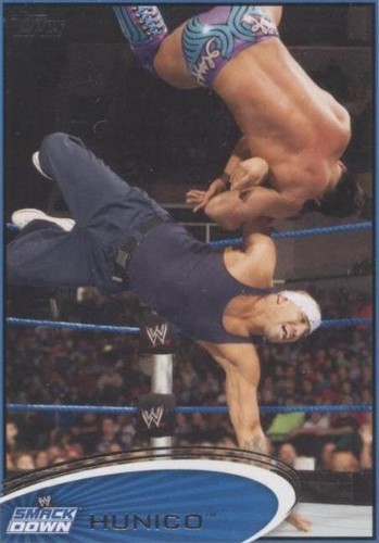 2012 Topps WWE - Hunico #22