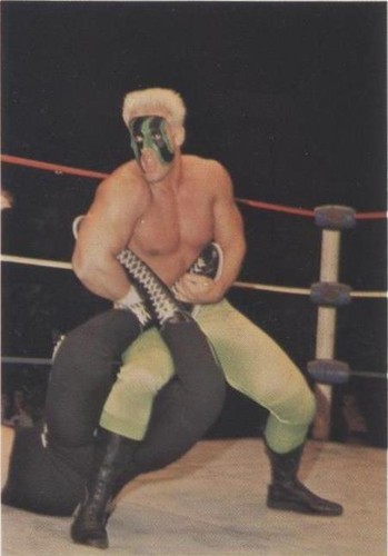 1988 Wonderama NWA - Sting #17