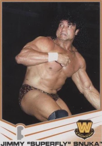 タレントカード ssnoopy WWE Jimmy Snuka Hasbro Bio Card Wrestling Used WCW Classic