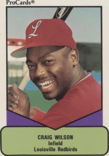 1990 ProCards AAA Future Stars - Craig Wilson #527