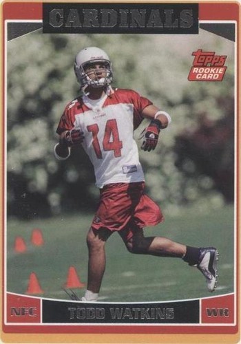2006 Topps Todd Watkins #338